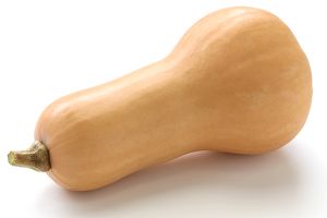 A photo of Butternut Squash