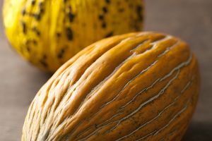 A photo of Casaba Melon