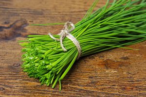 A photo of chives