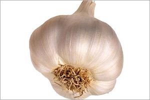 A photo of garlic