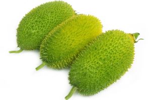 A photo of Hedgehog Gourd