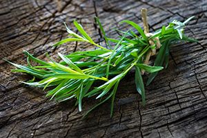 A photo of Tarragon