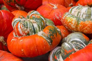 A photo of Turban Squash